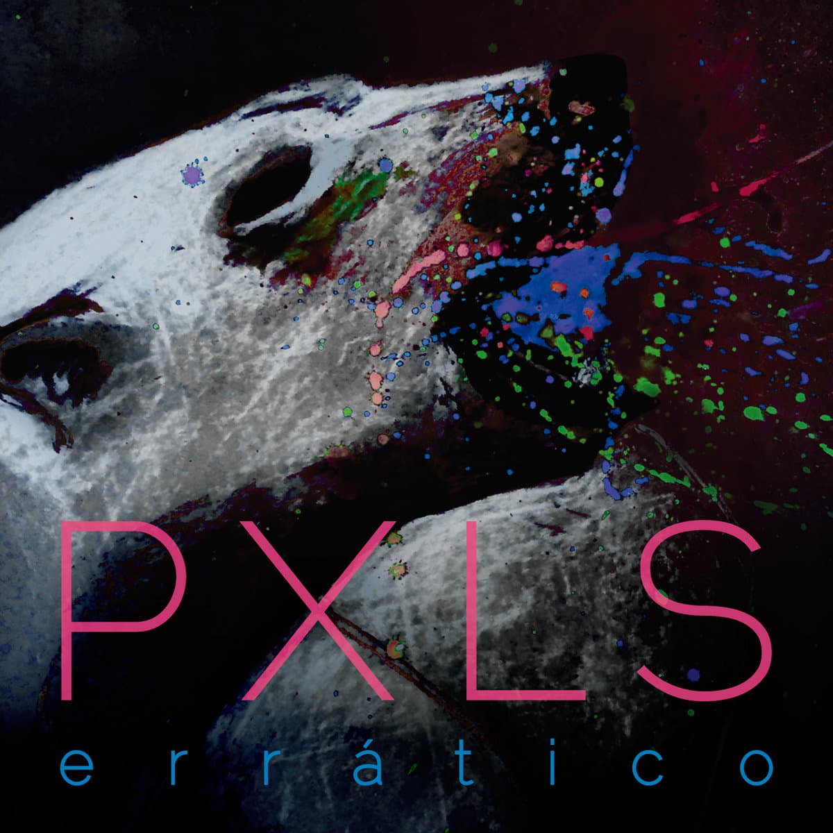 Errático cover