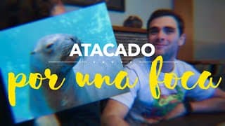 atacado por una FOCA