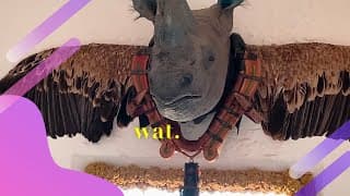 viajé a Cadaqués para ver la casa de Dalí