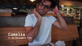 gorilas vapean en montevideo VERY WAT