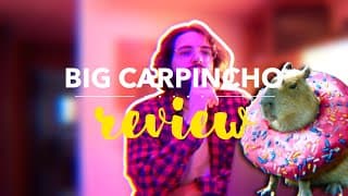 BIG CARPINCHO ENERGY